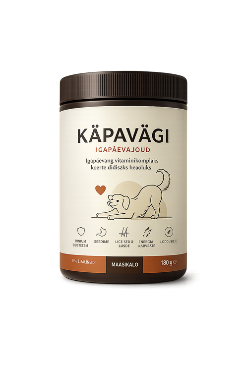 Igapäevajõud