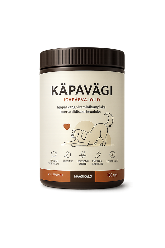 Igapäevajõud