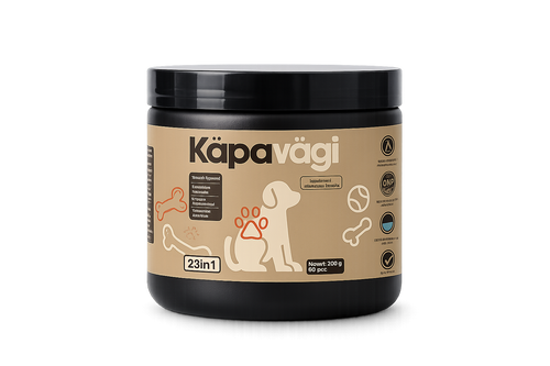 Igapäevajõud