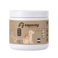 Igapäevajõud