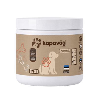 Igapäevajõud