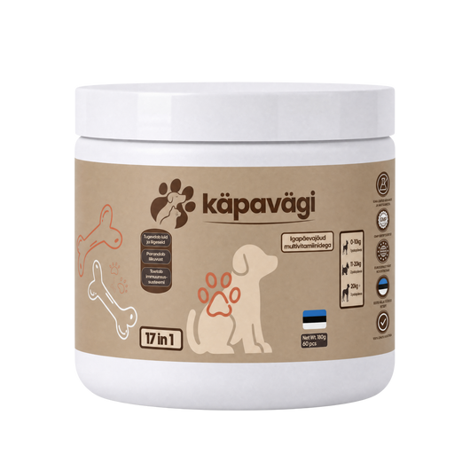 Igapäevajõud