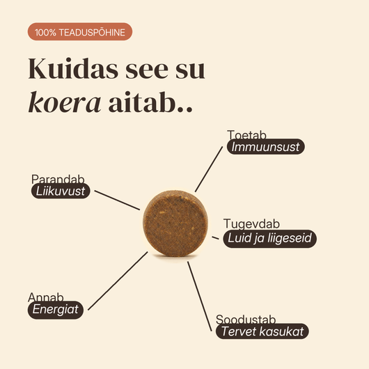 Igapäevajõud