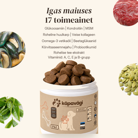 Igapäevajõud