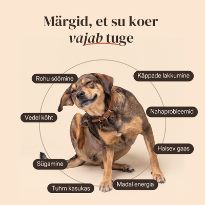 Igapäevajõud