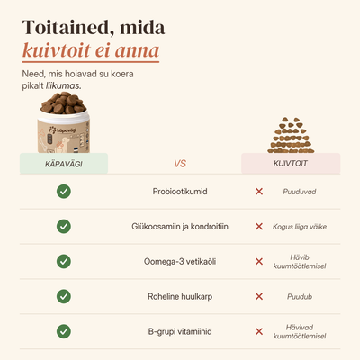 Igapäevajõud